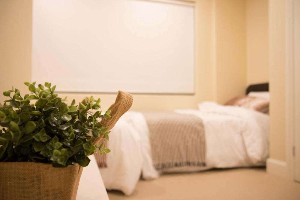 T&M House Hotel Strathfield Ngoại thất bức ảnh